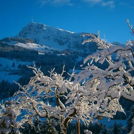 Filzenhof קיצביהל