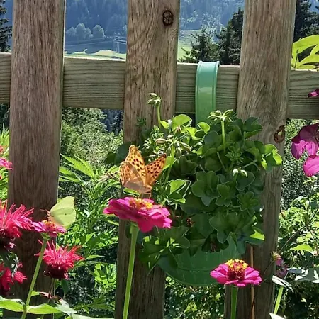 Filzenhof Appartamento Kitzbühel