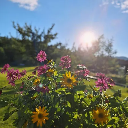 Apartmán Filzenhof Kitzbühel