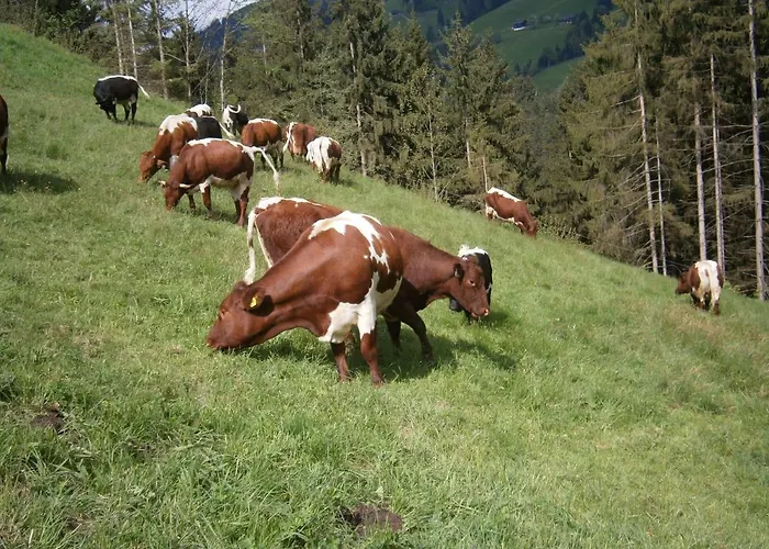 Filzenhof * Kitzbühel