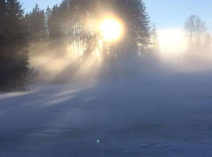 Filzenhof Lejlighed *