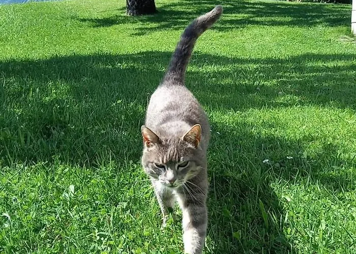 Filzenhof Lejlighed *