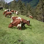 Filzenhof * Kitzbuhel