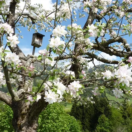 Filzenhof *