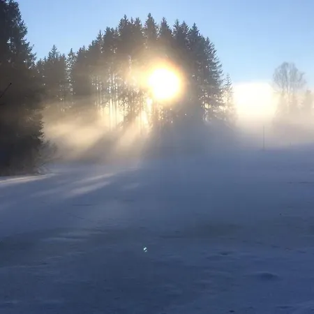 Filzenhof شقة *